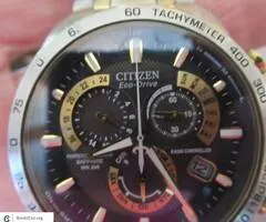 Citizen Stainless Eco-Drive Watch